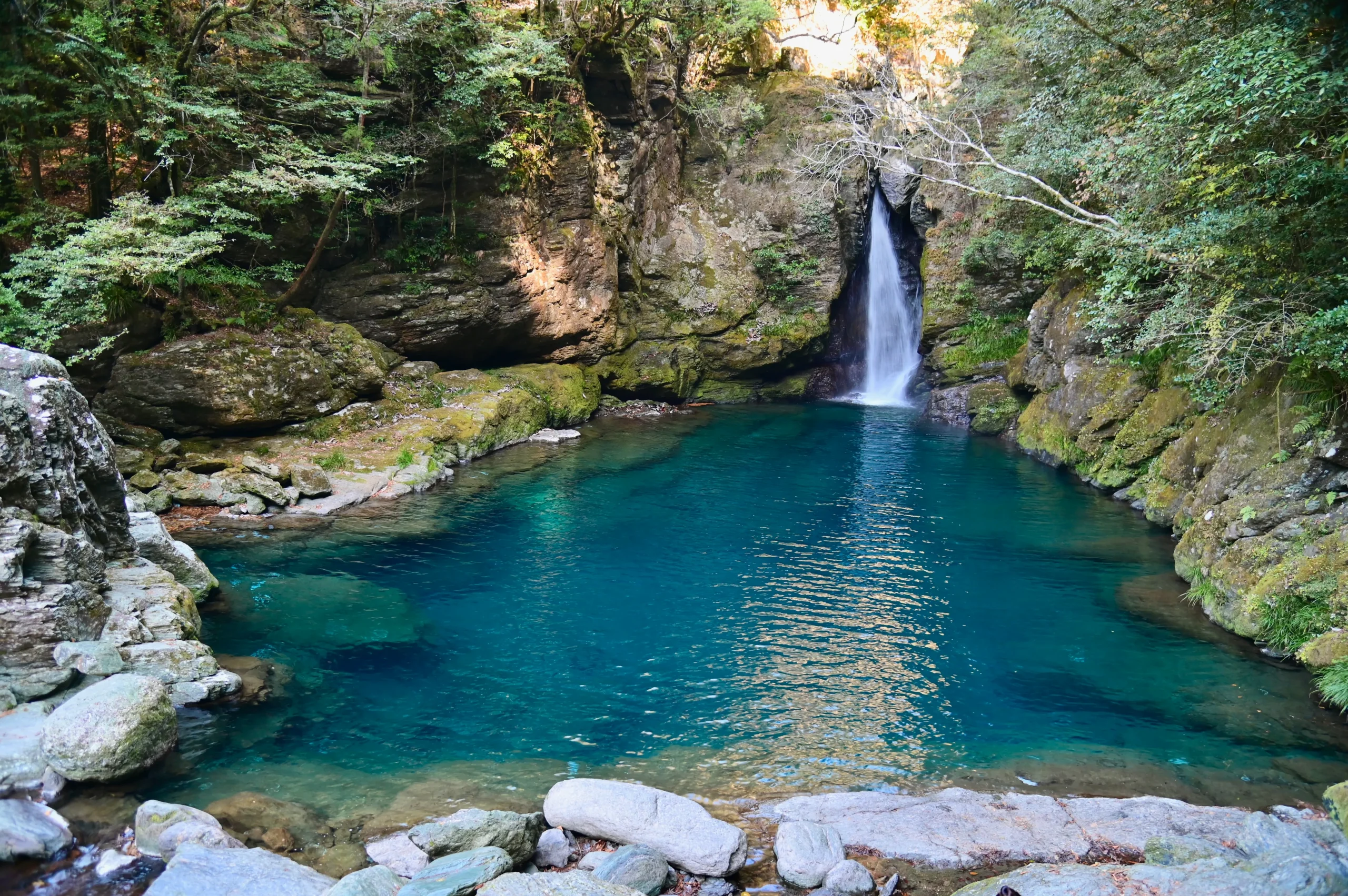 Vivid Niyodo Blue emerald pool and small waterfall in a forested gorge, Kochi