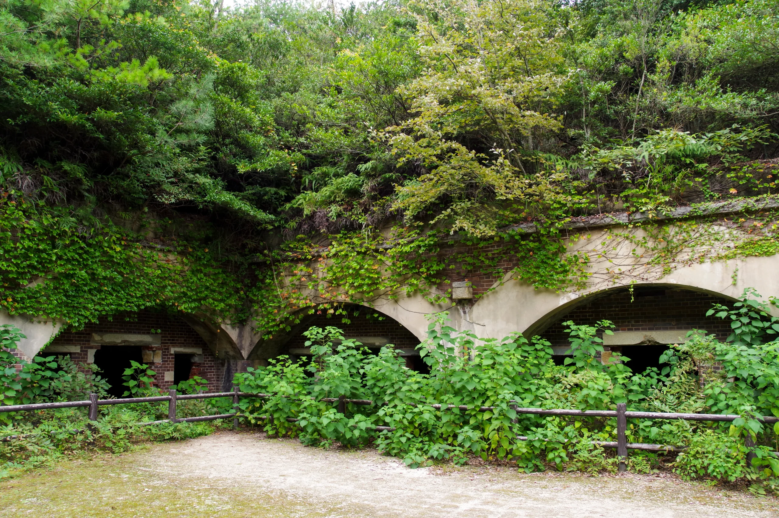 Ivy-covered ruins of a former military battery on Okunoshima island in Hiroshima