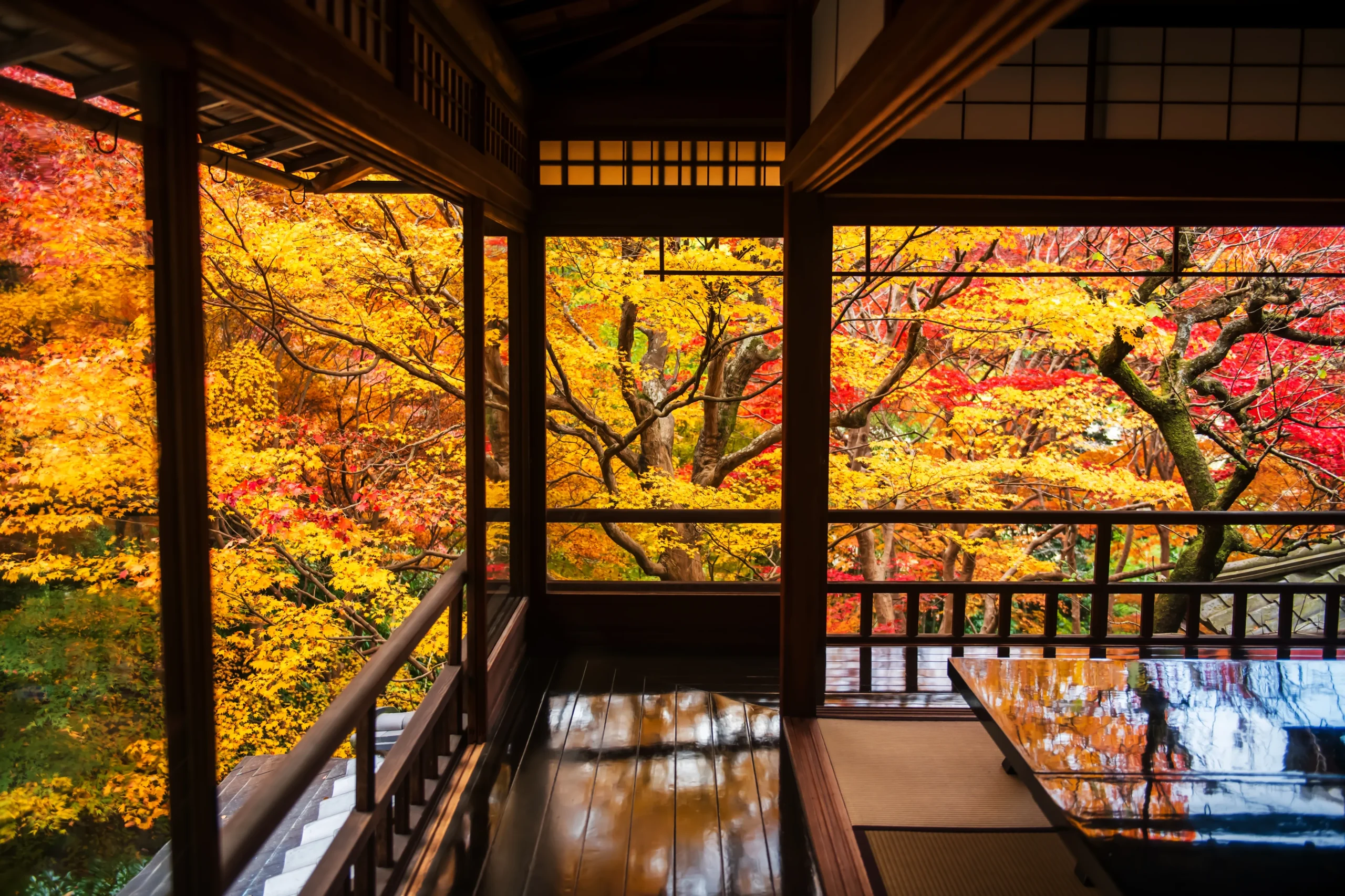 Autumn maples reflected on a polished table in a temple room at Rurikoin, Kyoto, seen through open windows.