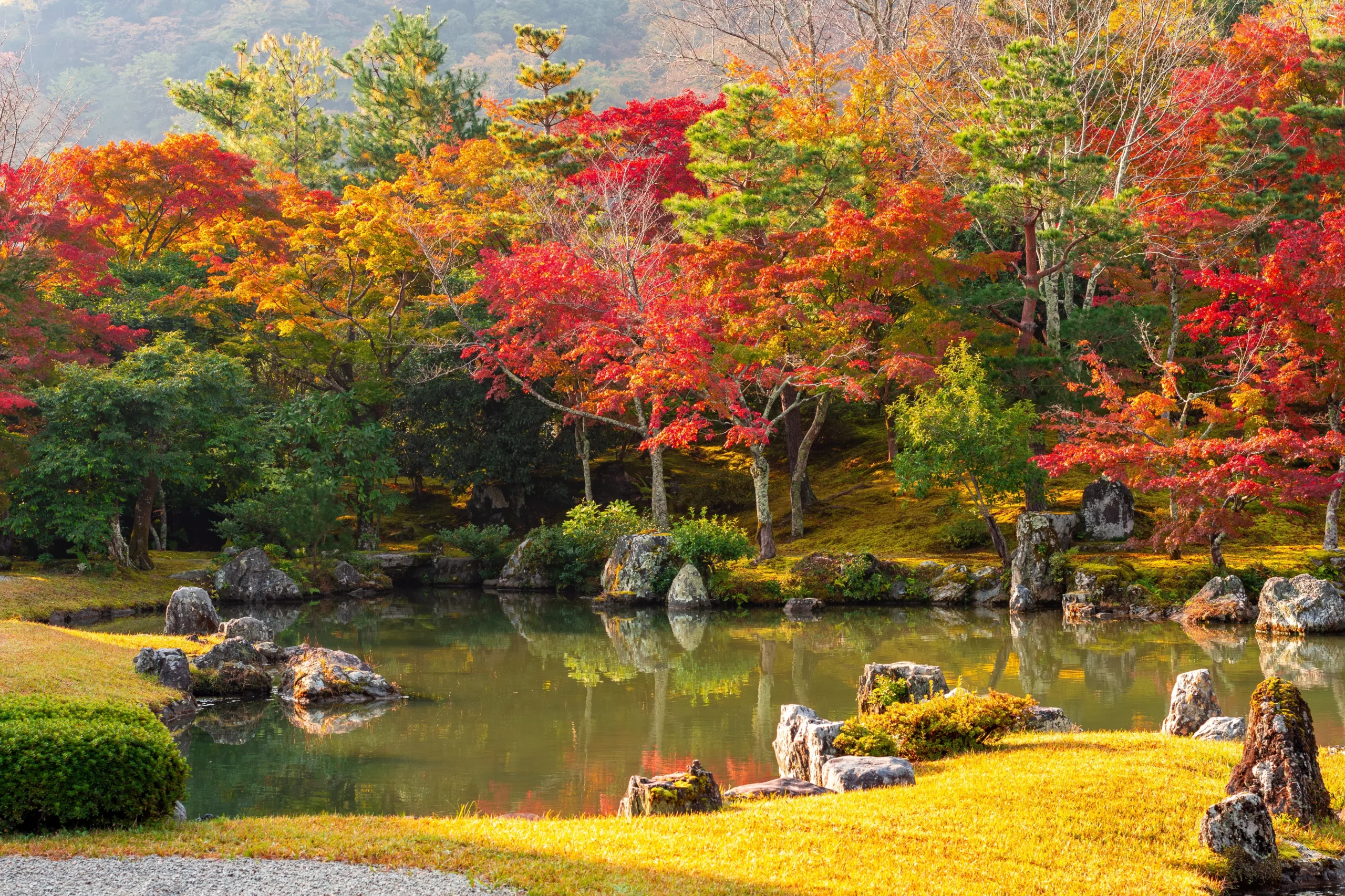 Sogenchi pond garden with rocks, moss and red autumn maples at Tenryuji Temple in Arashiyama, Kyoto.