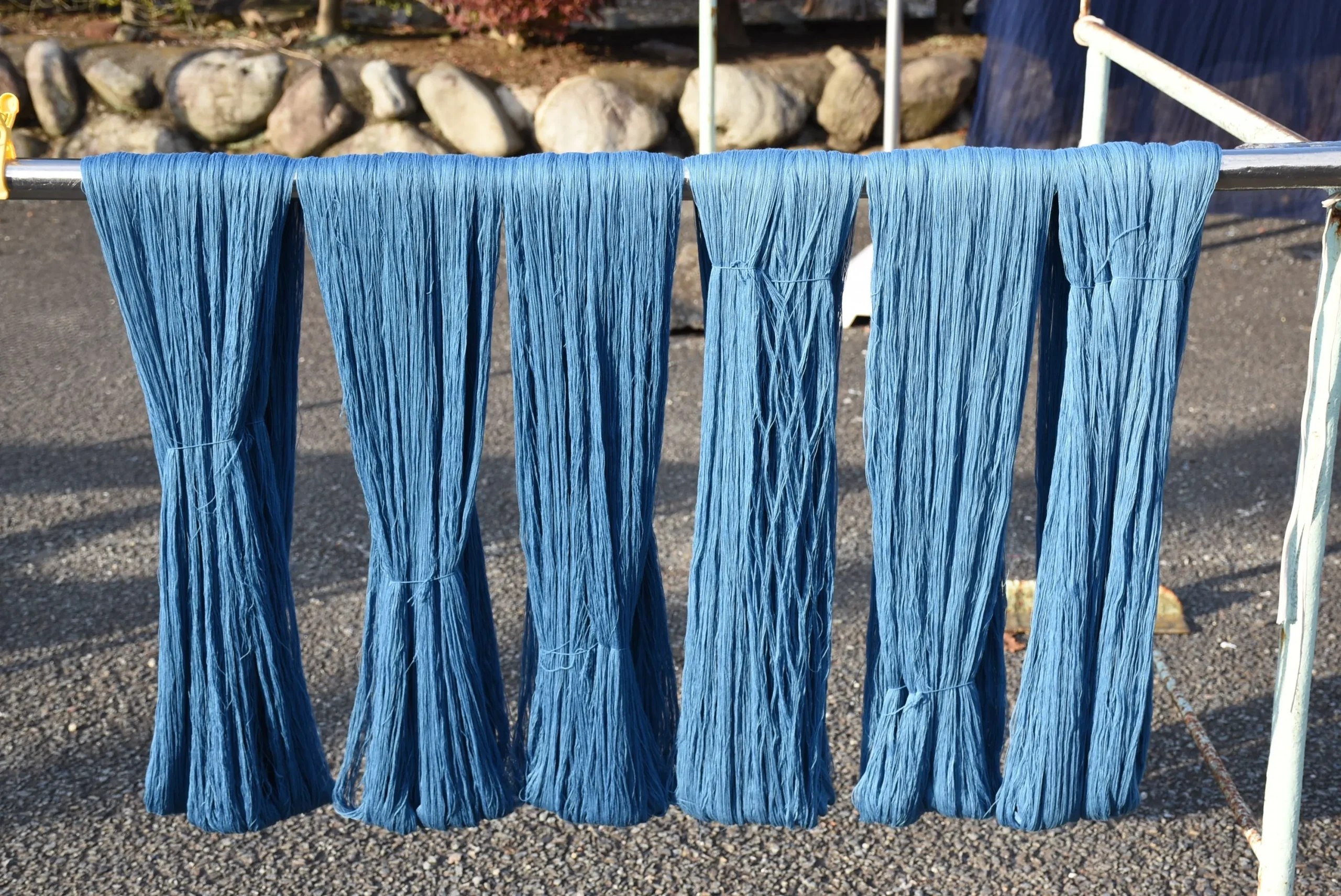 Indigo-dyed threads (aizome) hanging to dry after traditional Japanese dyeing