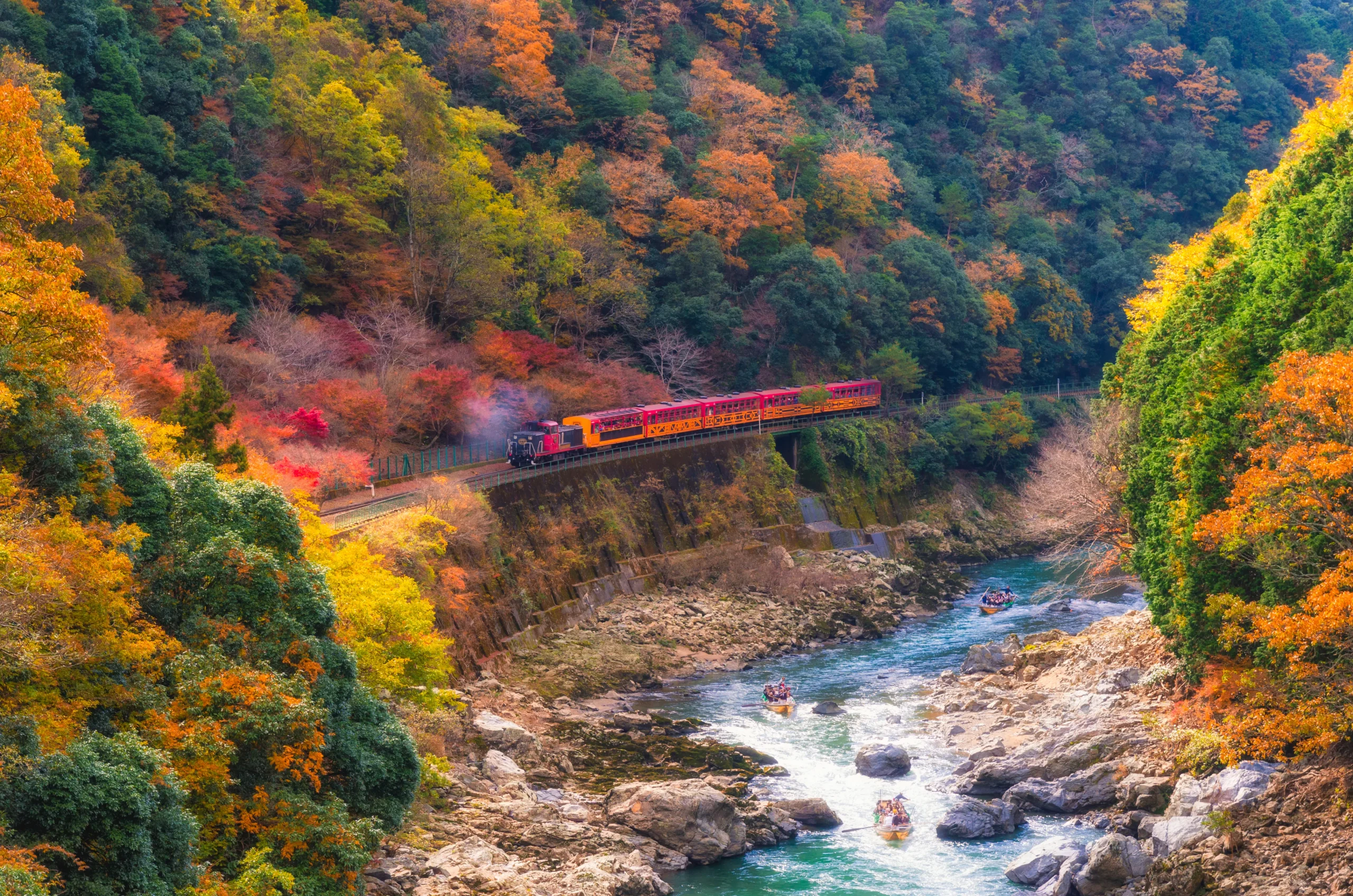 Sightseeing train passes above the Hozugawa River through autumn-colored mountains near Arashiyama, Kyoto.