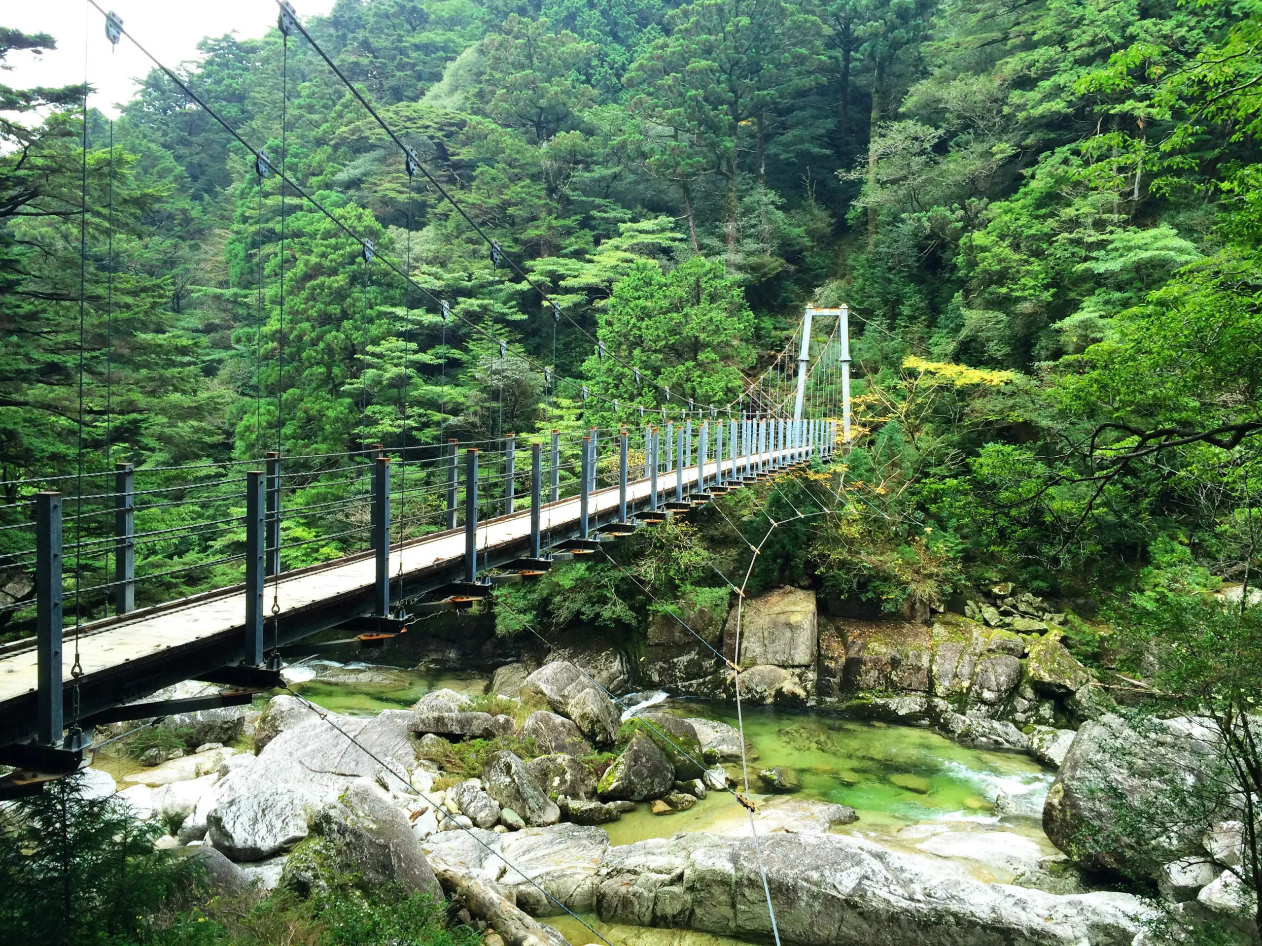 Wooden suspension bridge over a clear rocky river in the green forest of Yakushima