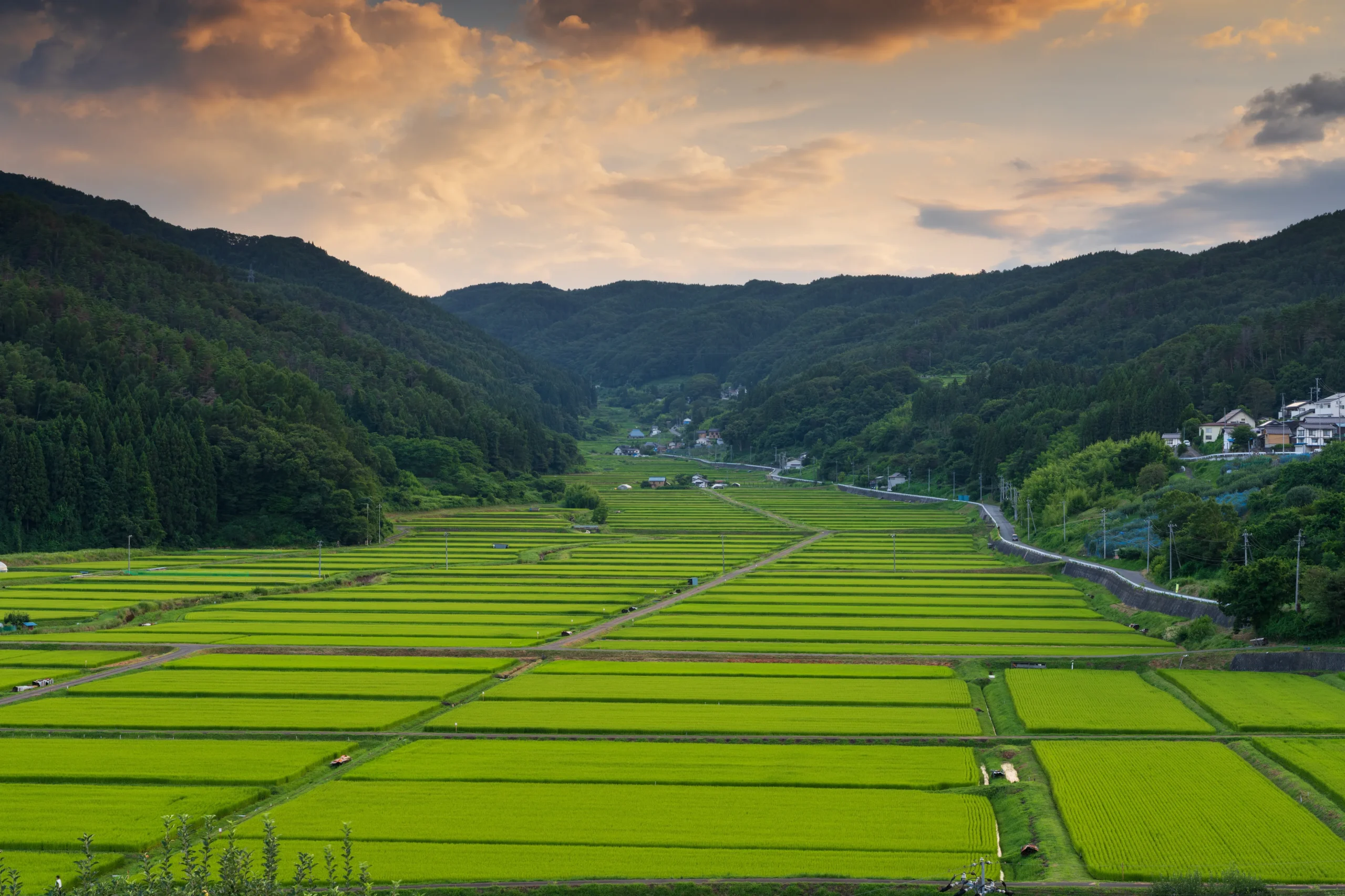Terraced green rice paddies in a mountain valley at sunset in Nagano, Japan, with a small village below.