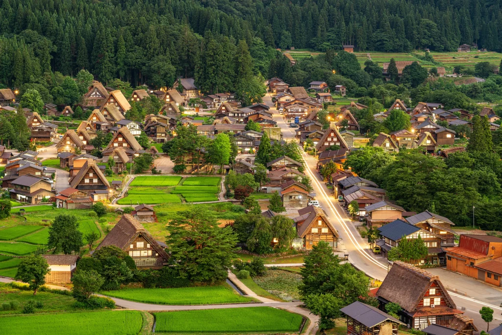 Thatched gassho-zukuri farmhouses among green rice paddies at dusk in Shirakawa-go