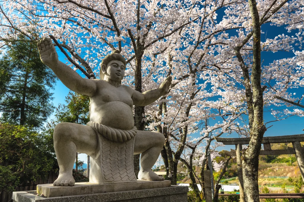 Stone sumo wrestler statue under cherry blossoms near a shrine torii gate in spring