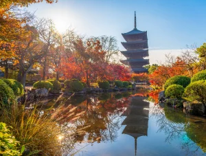 1-Day Kyoto Antique Tour – November 21, 2026