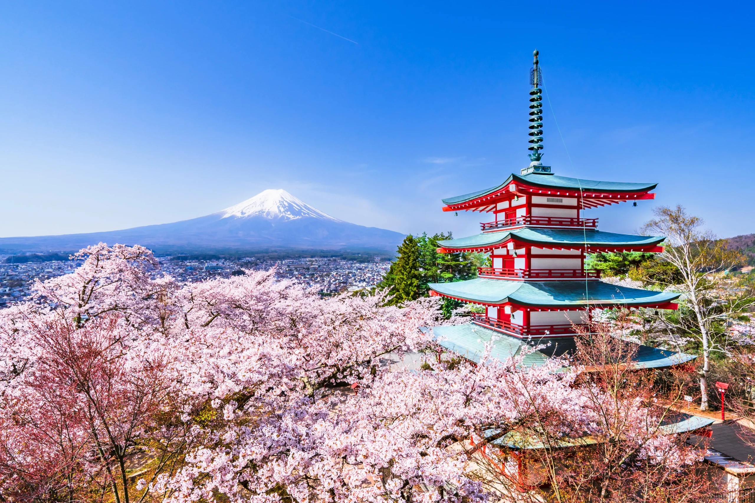 Chureito Pagoda with cherry blossoms and Mount Fuji