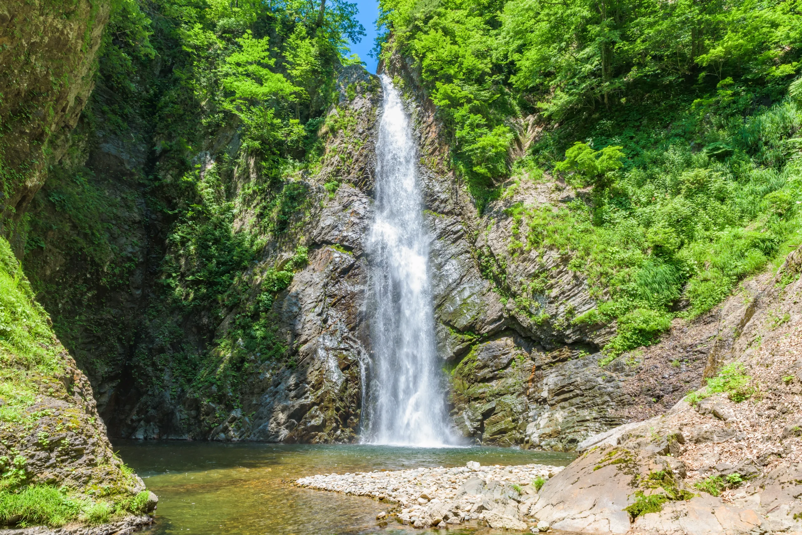 Waterfall in beech forest in Shirakami Sanchi, Aomori