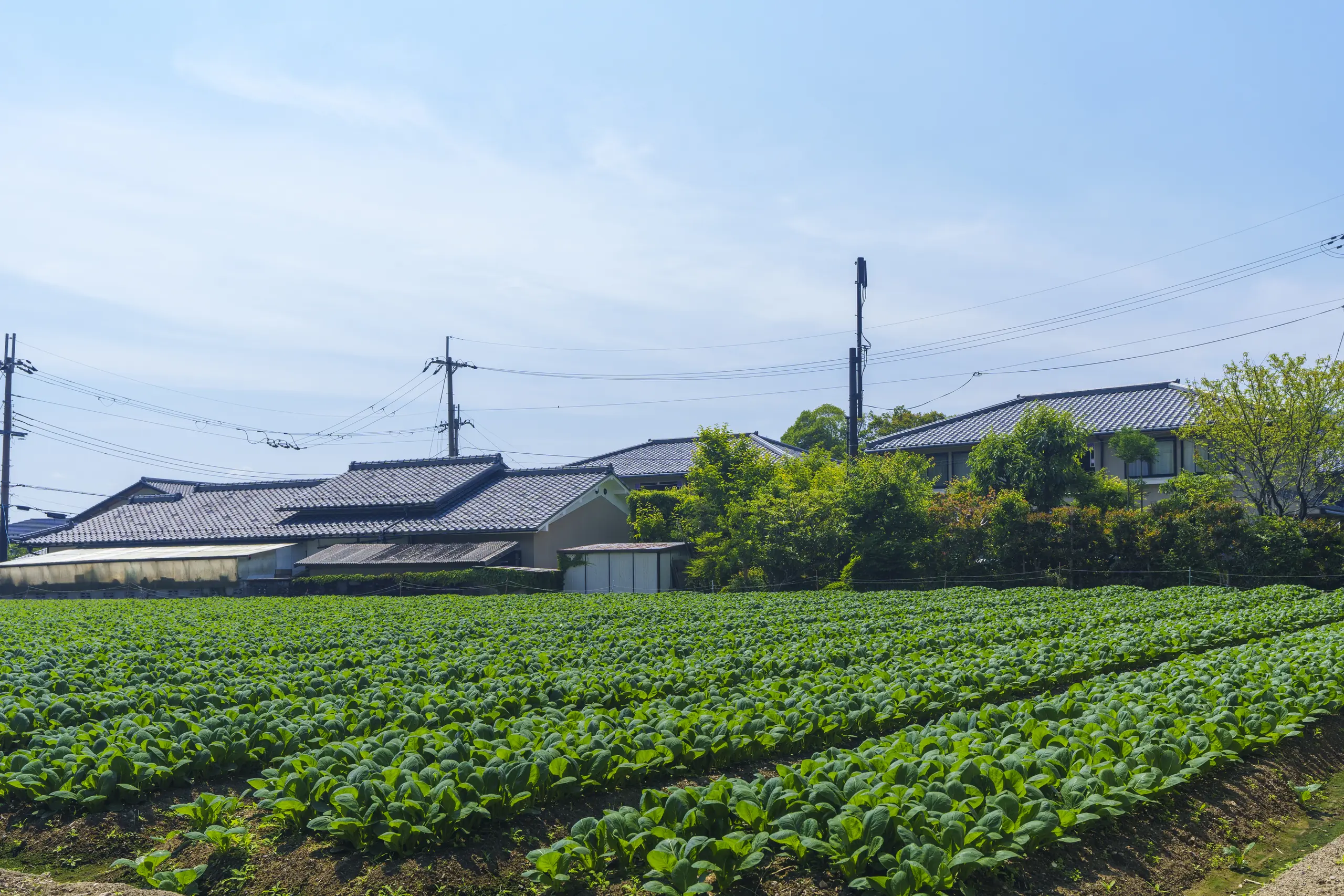 Traditional buildings along a street in Saga Toriimoto, Arashiyama, Kyoto.