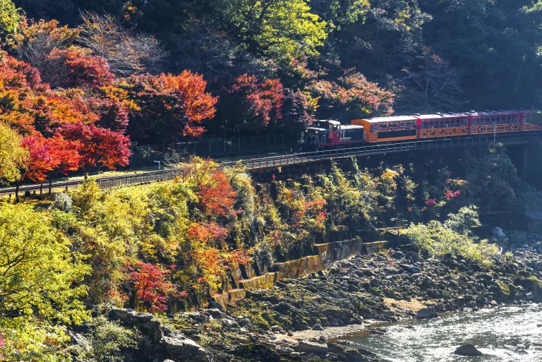 The Sagano Romantic Train among autumn foliage in Kyoto's Hozu Gorge.