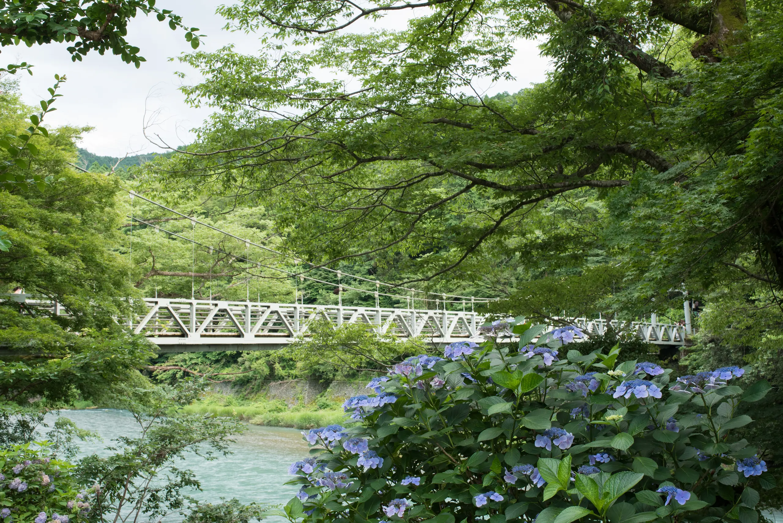 The Tama River and Kaede Bridge seen from Sawanoi Garden in Ome, Tokyo.