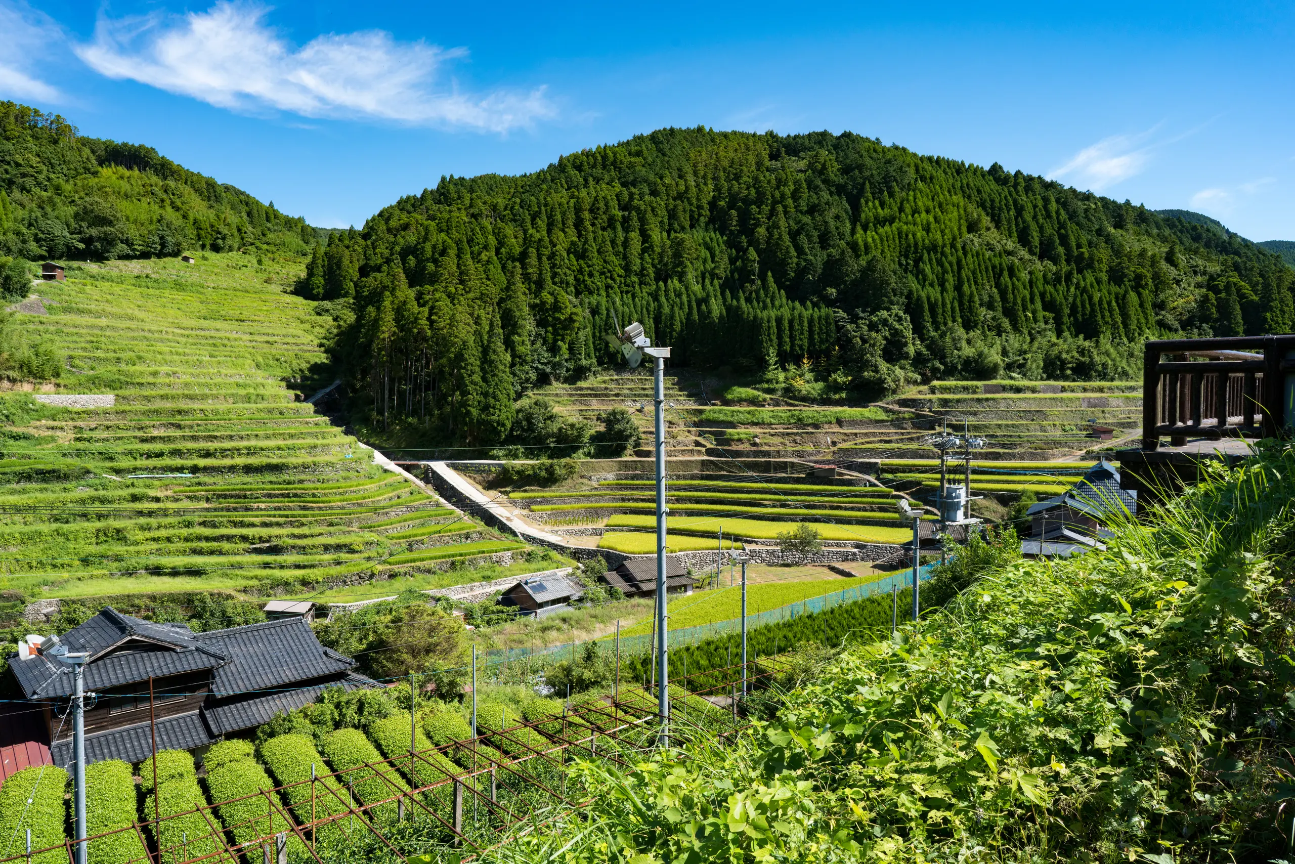 Tea-growing countryside around Hoshino Village in Yame, Fukuoka Prefecture.