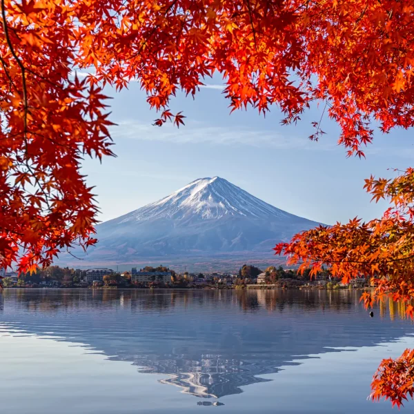 A breathtaking view of Mount Fuji, framed by vibrant red autumn maple leaves, reflected in the calm lake below.