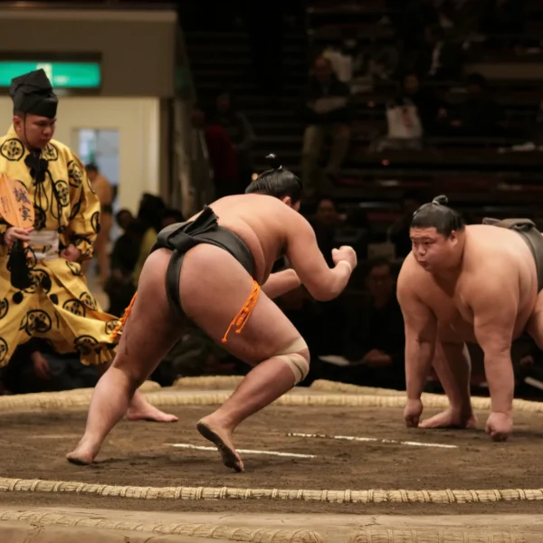 Two sumo wrestlers in a deep stance, preparing to clash in a traditional sumo match inside the ring.