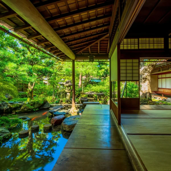 A traditional Japanese garden seen from the wooden veranda of a historical residence, overlooking a koi pond, stepping stones, and lush greenery.