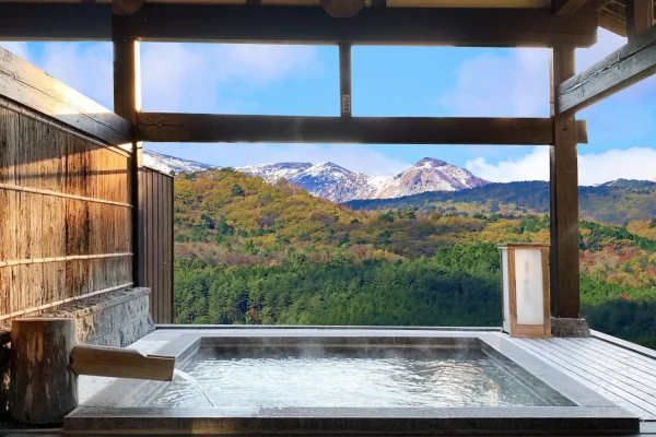 private onsen