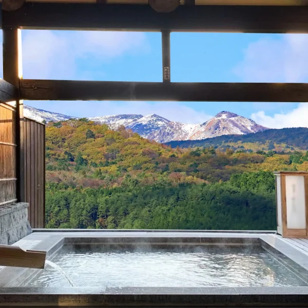 private onsen