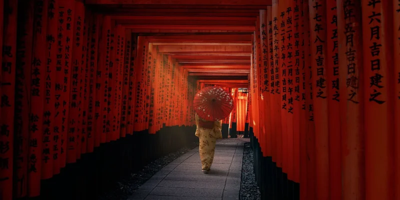 senbon-torii-6389421_1920