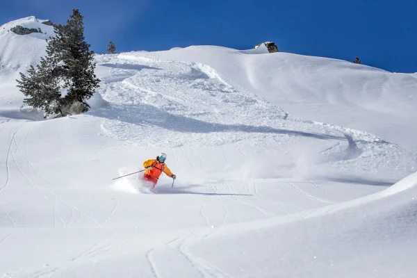 Skier carving through fresh powder snow on a sunny day at a Japanese ski resort