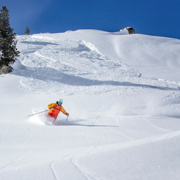 Skier carving through fresh powder snow on a sunny day at a Japanese ski resort