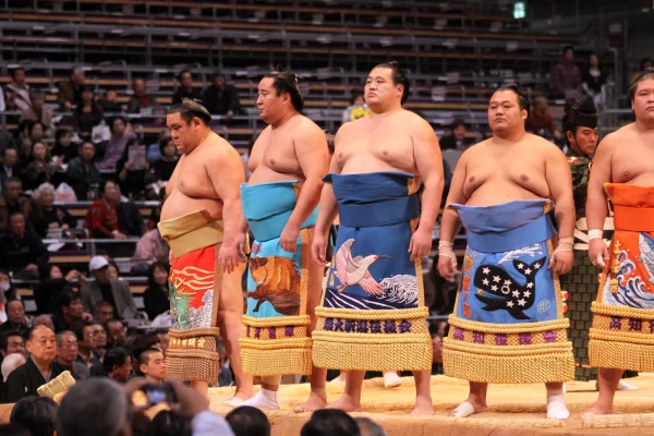 sumo player