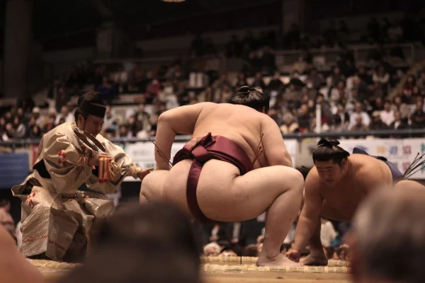 sumo wrestlers